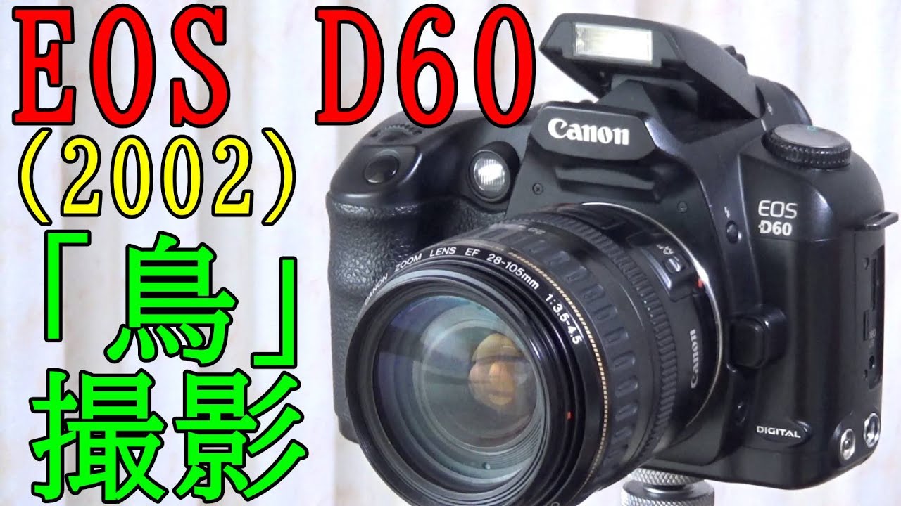 【ジャンク】3300円 EOS D60 鳥撮影で使える？ 検索に引っ掛かりにくいデジタル一眼レフカメラ