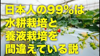 【悲報】いちごの高設栽培は？水耕栽培と養液栽培、液肥栽培の違いを解説