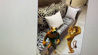 The Foosa King Gets Grounded For Nothing