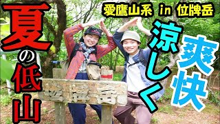 【関東の低山】夏の低山を涼しく爽快に歩ける登山道をご紹介!in愛鷹山系の位牌岳
