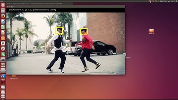 Multi Object Tracking base on OpenTLD