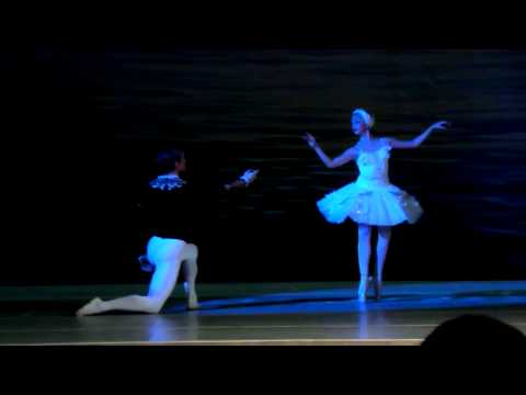 ELISA ALDUNATE- WHITE SWAN-