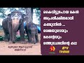 ഒരു അമ്മയുടെയും മകന്റെയും ഒത്തുചേരലിന്റെ കഥ | e4 Elephant | Muthumala Elephant Camp | Kairali TV