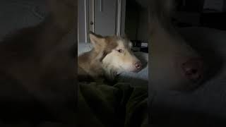 When You Spending Quality Time With Baby Girl Buddy Girl But She Dont Want To Be Recorded