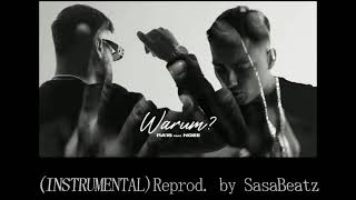 [INSTRUMENTAL] Warum? - RA'IS feat. NGEE (reprod. by SasaBeatz)