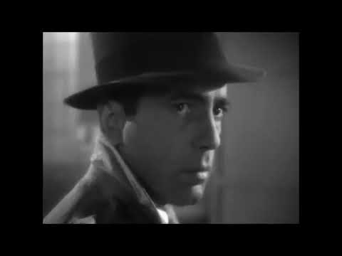 𓄂𓆃 برتی هیگینز BertieHiggins𓄂𓆃 Maryammesteri 