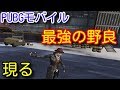 【PUBG MOBILE】野良スクアッドで過去最強の先輩に出会った！索敵やカバー、立ち回りが上手すぎた！【PUBGモバイル】【PUBG スマホ】