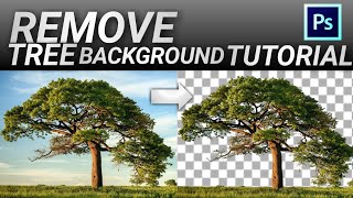 How to Remove Background of a Tree | PS Touch Tutorial