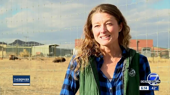 National Park Service says bison are shedding gene...