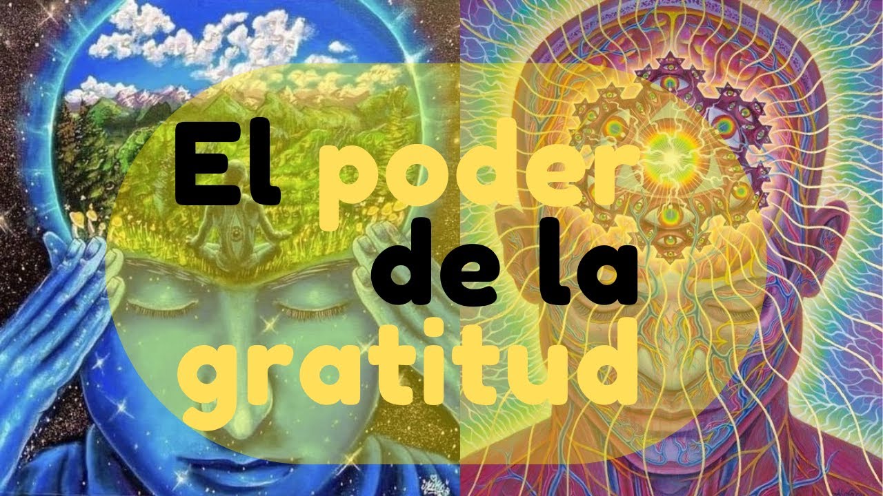 El poder de la gratitud: Como cambiar tu vida con una mentalidad ...