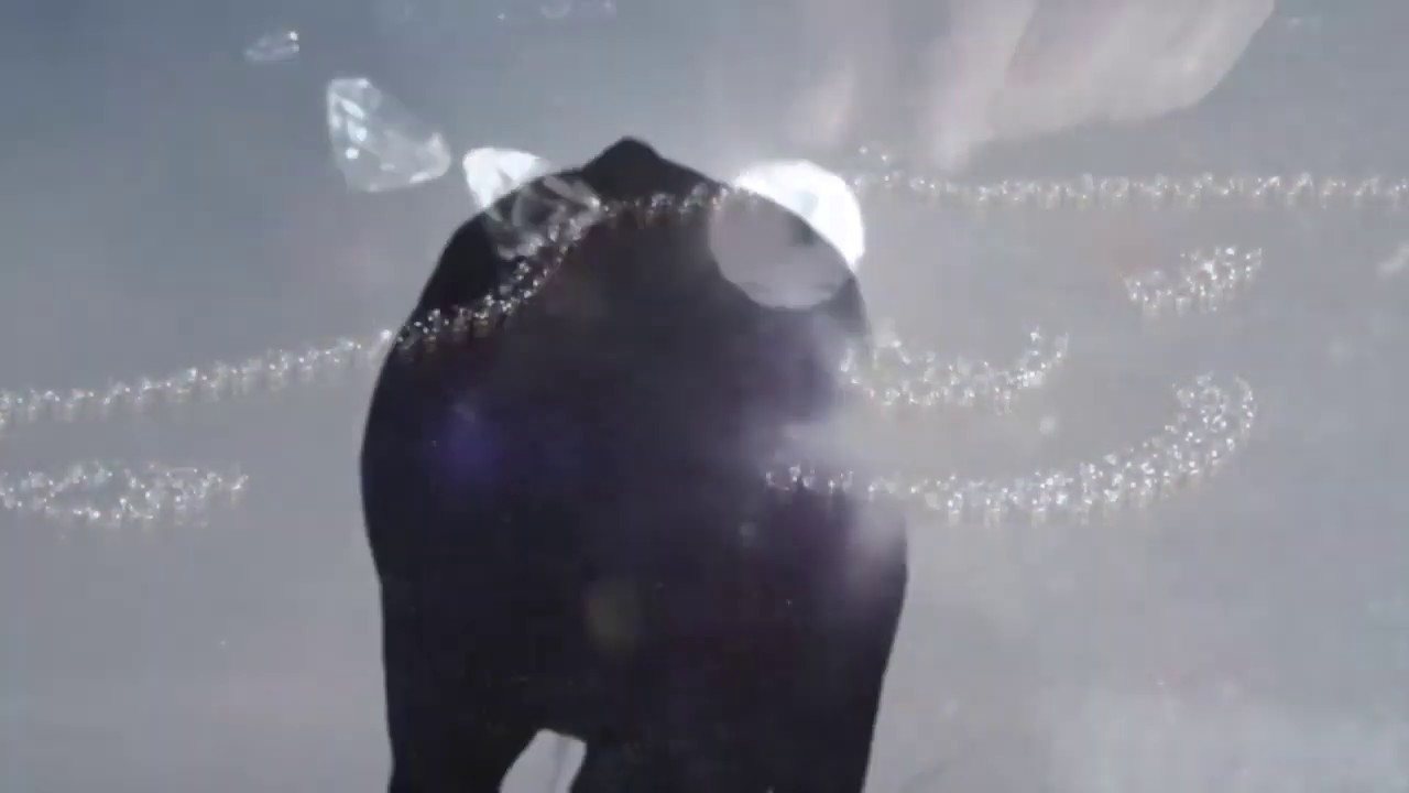 Beatrice Bulteau  Arabian Diamonds