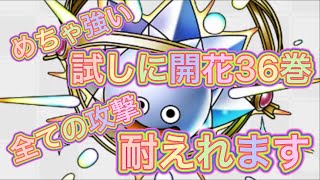 ダイヤモンドスライム固すぎ！！開花36巻の本気のカイザーの攻撃も余裕w