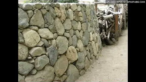 James Taylor Quartet Featuring   Shelter