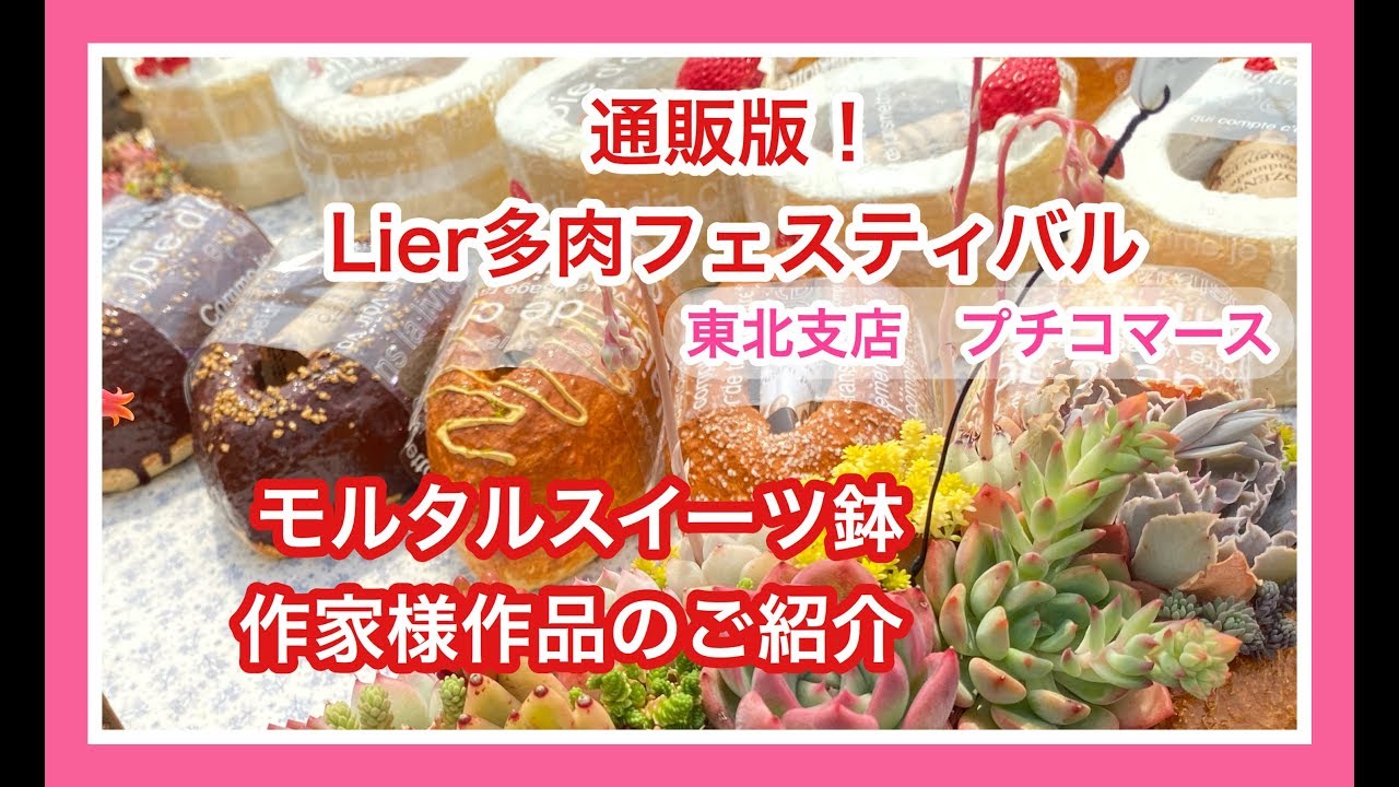 多肉植物用 モルタルパン鉢 スイーツ鉢 作家さん作品 通販版！ Lier