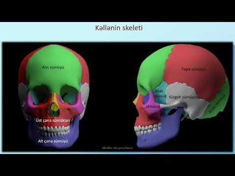 Video: Üst dayaq montajı hərəkət etməlidirmi?