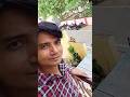 Bhai Ghar Tak Aa Gaya🥰 #shorts #Monkey🤣 #Ytshorts💕 #funny #Bandar ❤️