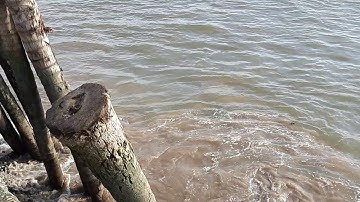 Tàu cao tốc tuyến Cần Thơ - Côn đảo lợi hay hại