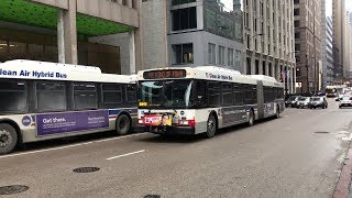 CTA Bus HD 60fps: Assorted Artics on Route 151 @ Adams & Wacker (2/11/19)