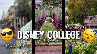 Disney College Program: A Goodbye to the Magic 🪄