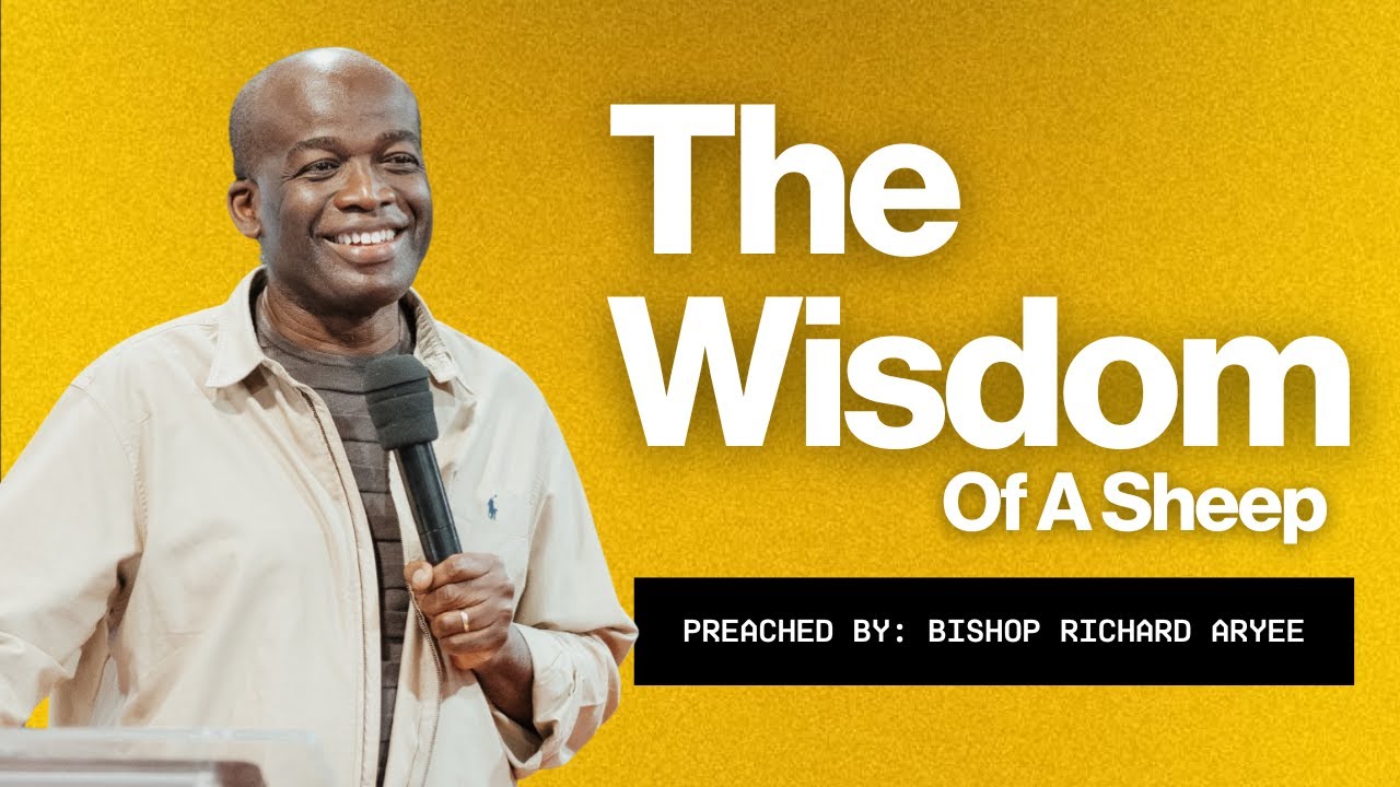 The Wisdom of A Sheep