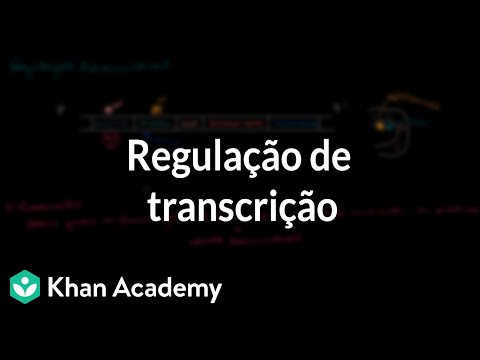 Vídeo: A Nova (des) Ordem Na Regulação Do RNA