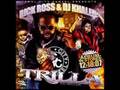 Ace Gutta Featuring Rick Ross And T-Pain - Cash Flow