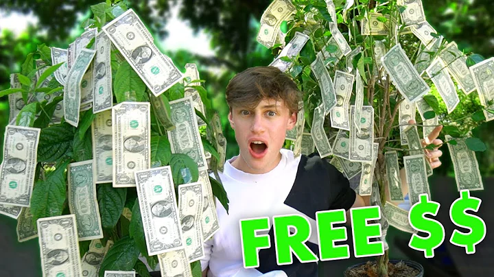 WE MADE MONEY GROW ON TREES!