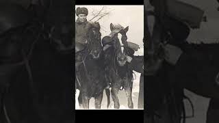 История башкирского коня, прошедшего Великую Отечественную Войну.