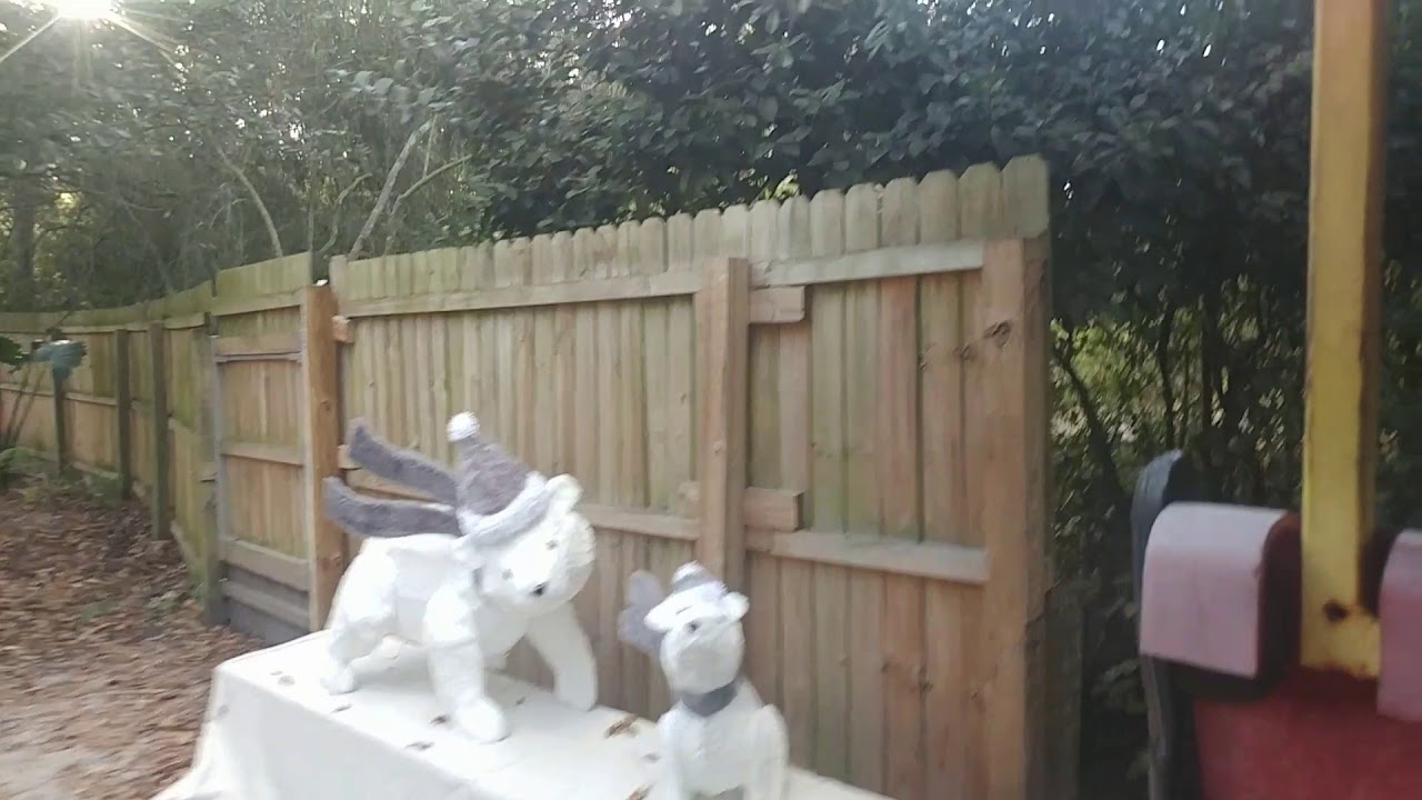 Jacksonville Florida Zoo Train Ride Loop YouTube