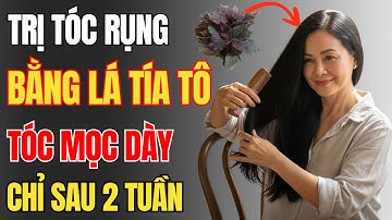 Bí Quyết Kích Thích Mọc Tóc Từ Lá Tía Tô – Giúp Tóc Dày, Đen Mượt Và Hết Rụng Chỉ Sau 2 Tuần