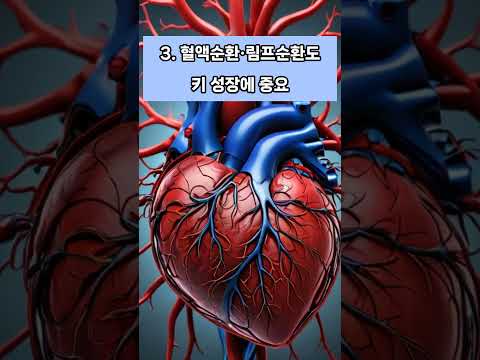 #키크는마사지#성장판마사지#거북목#성인숨은키#체형불균형#수원체형교정#인계동체형교정#수원마사지#인계동마사지#수원화정예가#골반비대칭#수원거북목#통증#두통#
