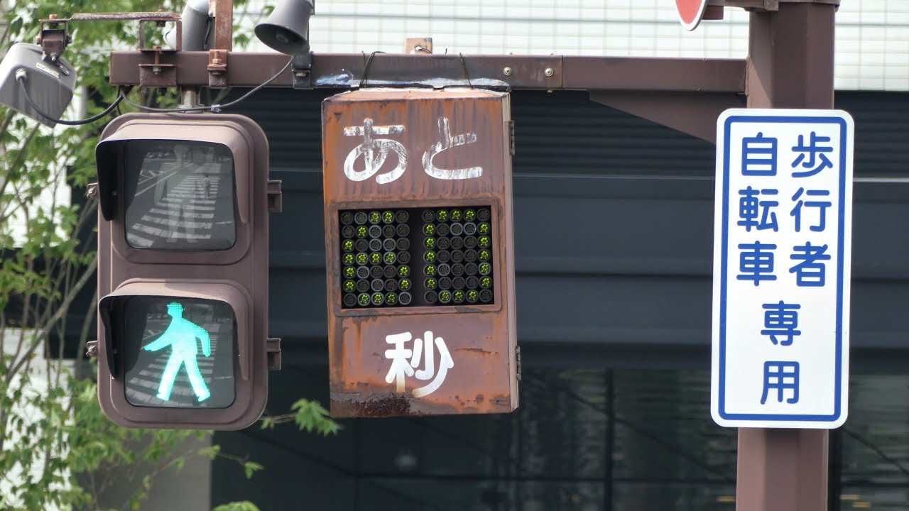 待ち時間長すぎ!? (赤)90秒 (青)60秒 歩行者自転車専用(2)/JR和歌山駅前