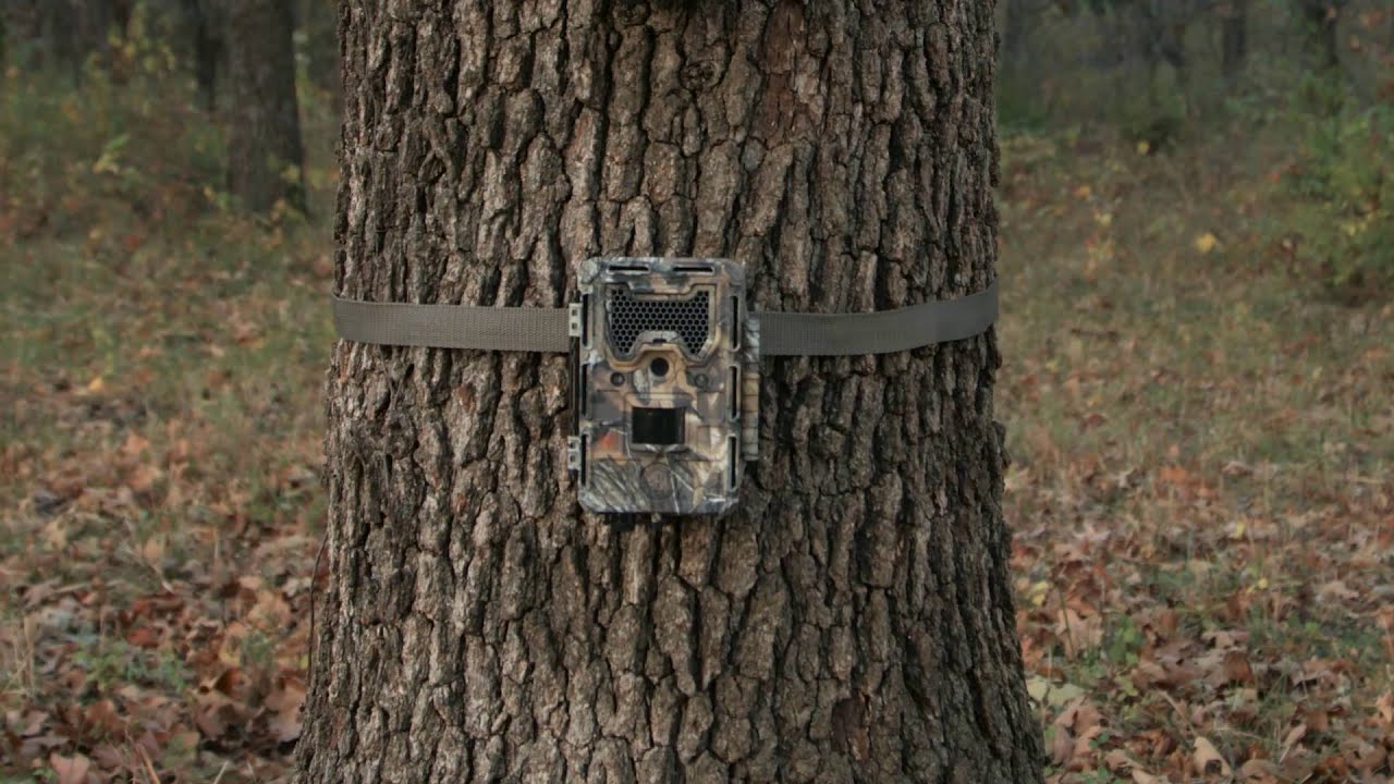 CÁMARA TRAMPA Bushnell modelo 119775c Compra Online 100% seguro