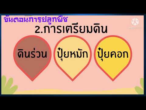 ความรู้ทั่วไปงานเกษตร