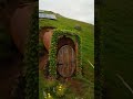 Modern Hobbit Hole DIY  #diy #satisfying #gardenart