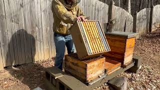 Hive Splits Going into Swarm Season. Inspections Mid-March