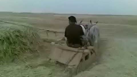 401. That’s an error.  Error: disabled_client  The OAuth client was disabled.  Request Details  resp