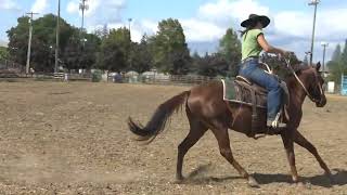 Shady Lady Olena, AQHA 2020 Chestnut mare. by FeedMyHeartWithLove Eph5 194 views 1 year ago 8 minutes, 43 seconds