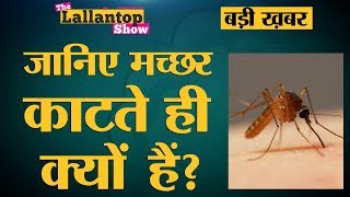 ज़्यादा मच्छर काटते हों तो आज से शुरू कर दें ये काम ज़्यादा मच्छर काटते हों तो आज से शुरू कर दें ये काम