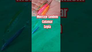 Montaje tandem o doble para calamar sepia, orilla y embarcacion #eging #calamar #sepia