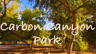 One of A Kind! Hike Trail to Redwood Grove In Southern California!  Go Fishing At Carbon Canyon Lake