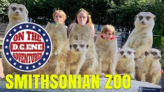 On the D.C.'ene Adventures (Washington D.C.) Day 3  The Smithsonian Zoo