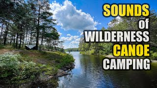 Sounds of Wilderness Camping from a Canoe Trip in Canada [ASMR Version]