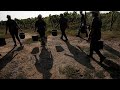 Мафия и теневой рынок труда: рабочих-мигрантов заживо сожгли на автозаправке в Калабрии
