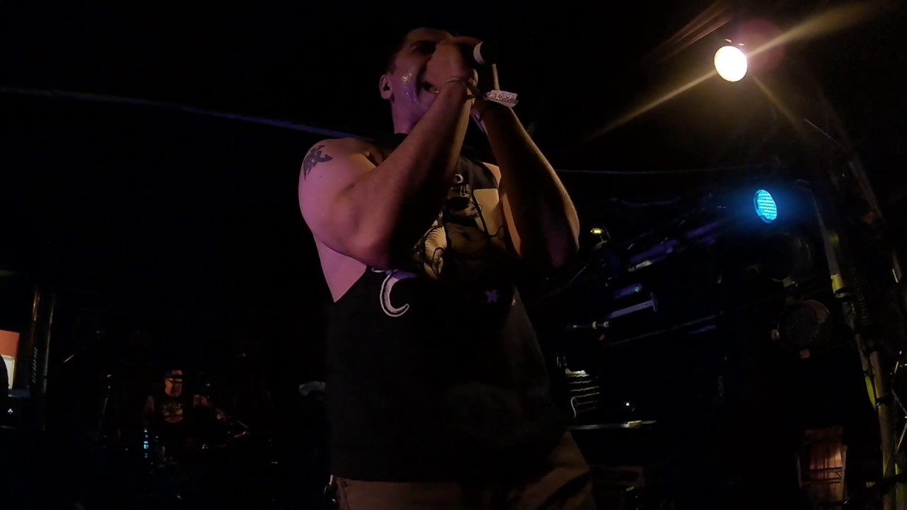 Zebrahead Hello Tomorrow Full Song Live From Crowd (Show 1) YouTube