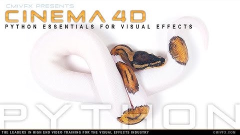 C4D Python Principles Vimeo2