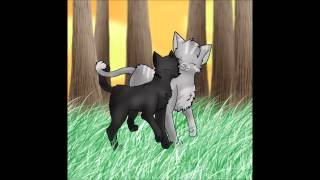 Crowpaw And Feathertail Up All Night