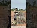 Trimming Stalks: Streamlining Crop Cutting for Farm Transport