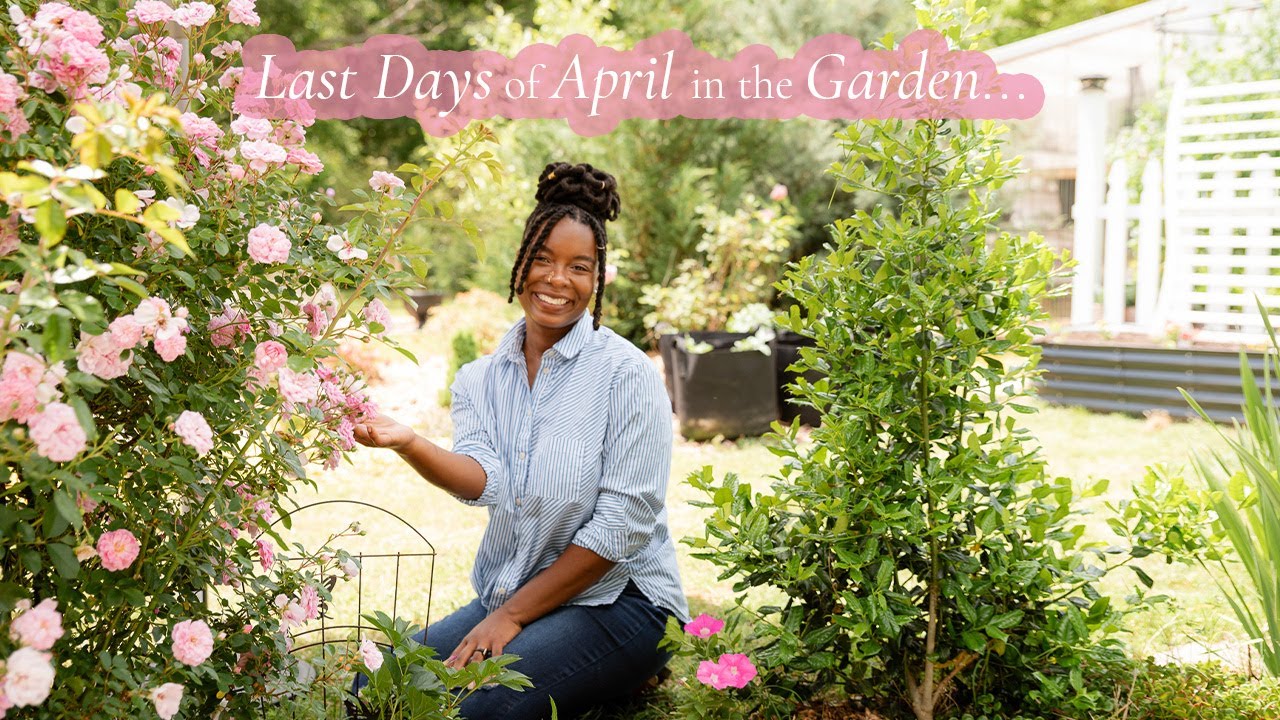 Gardening through the final days of April... | planting, harvesting, and beautiful blooms