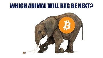 Scale Invariance and Why Bitcoin Is Predictable